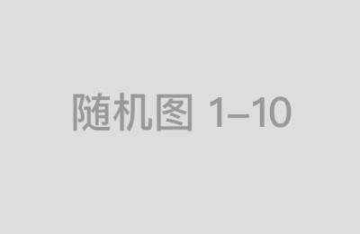 国内前十证券公司收益对比分析